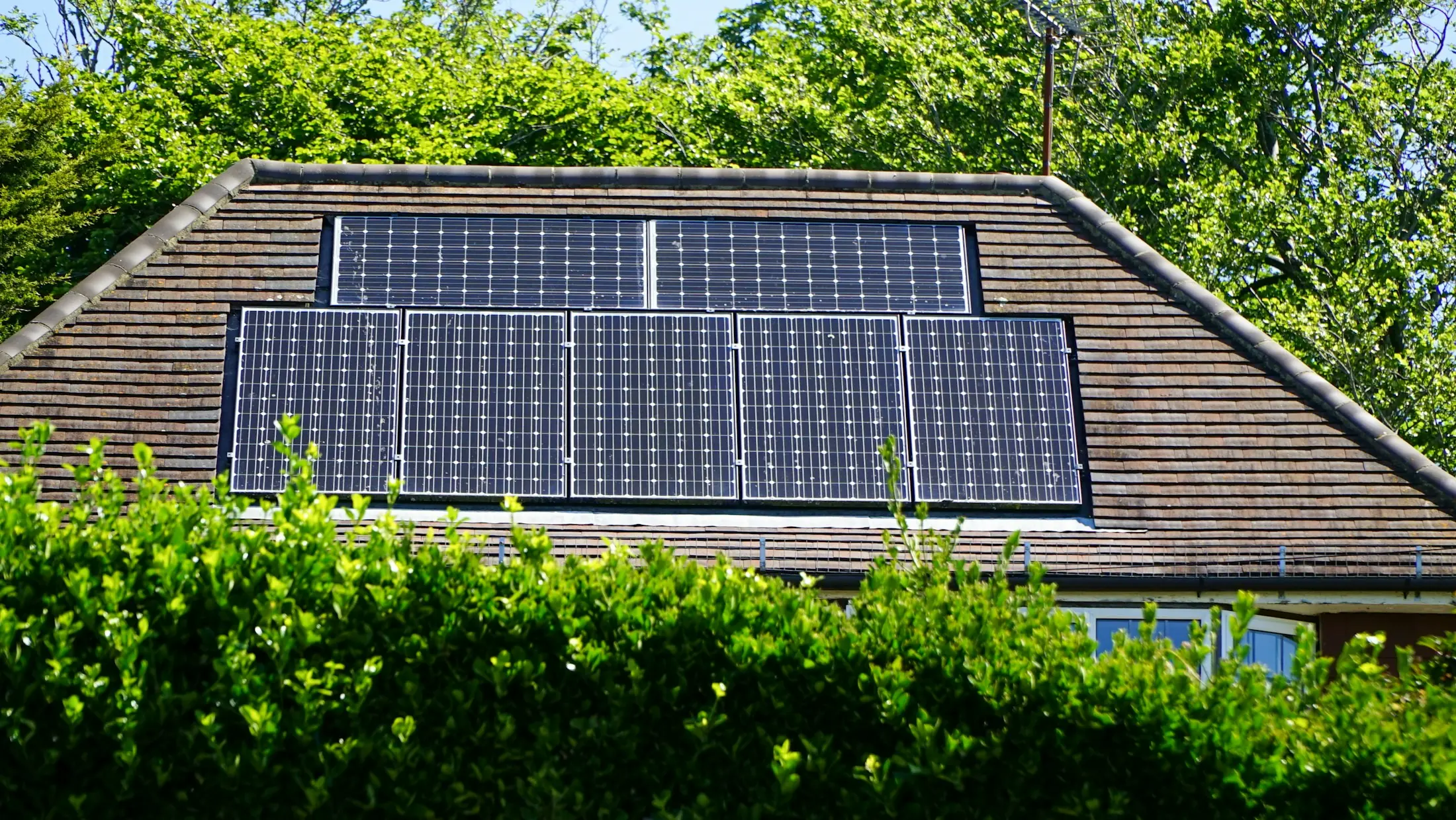 Ziegeldach mit sieben Solarmodulen, davor eine Hecke, dahinter hohe Bäume