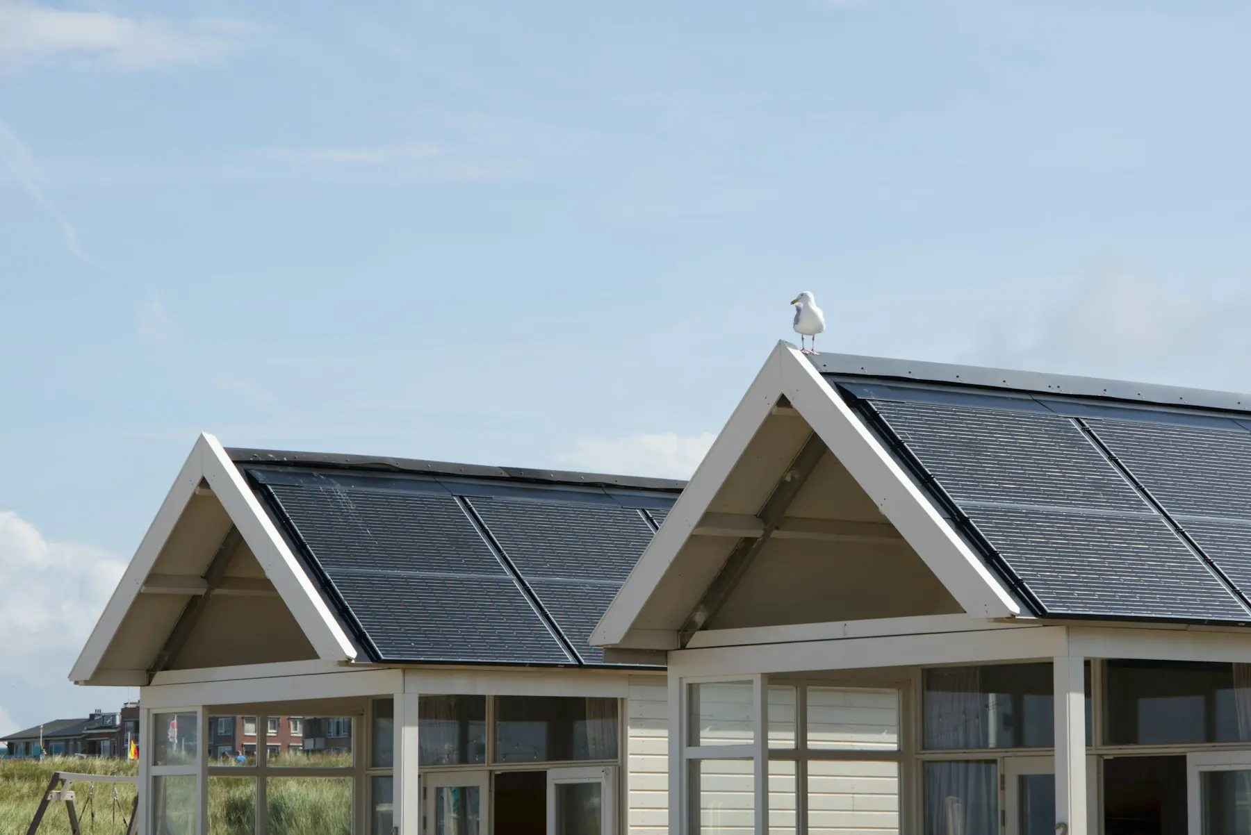 Zwei Häuser mit Satteldach, die Dachflächen mit dunklen Solarmodulen belegt, eine Möwe sitzt auf dem First